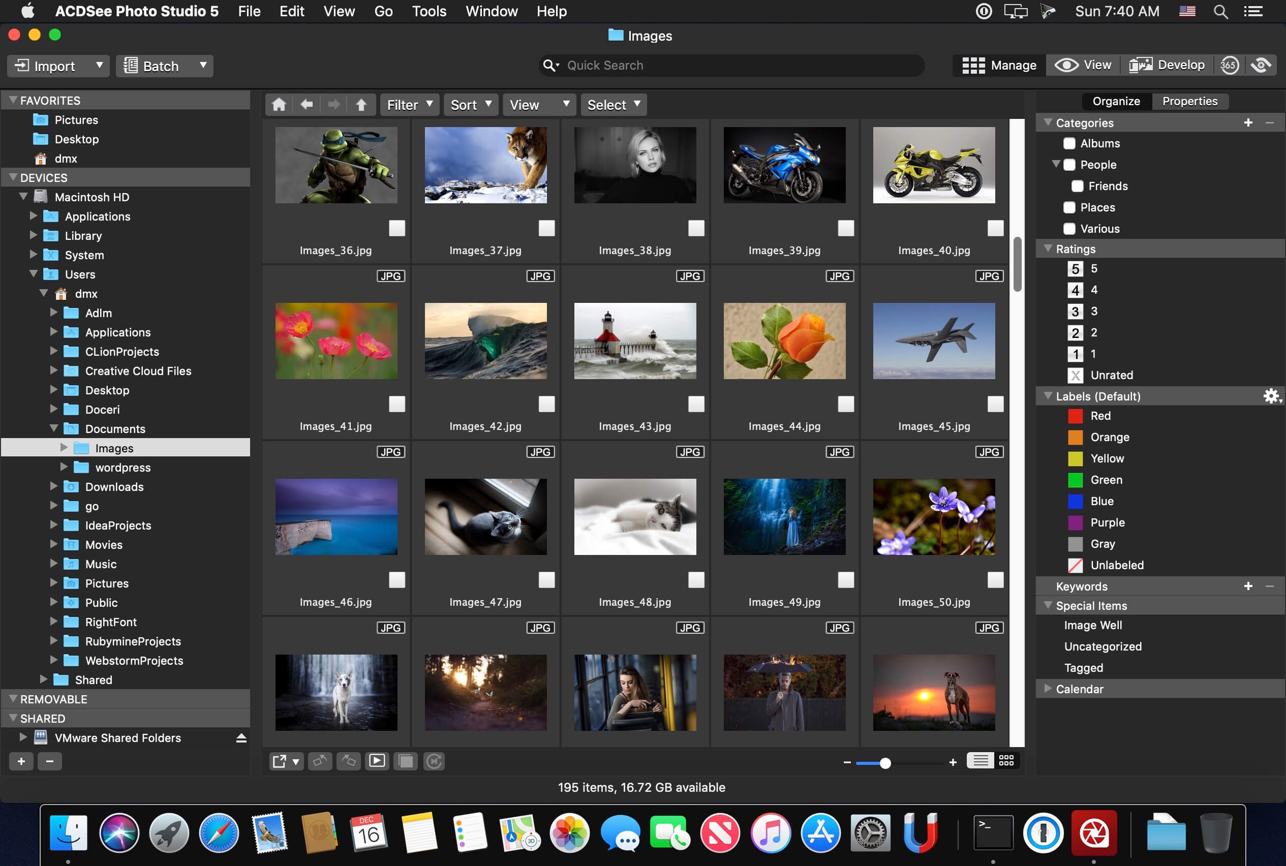 ACDSee Photo Studio 6.1.1536 – 老牌好用的看图工具插图