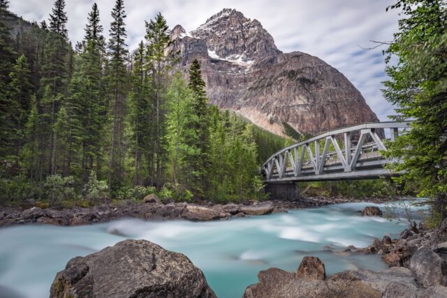 green trees near body of water and mountain