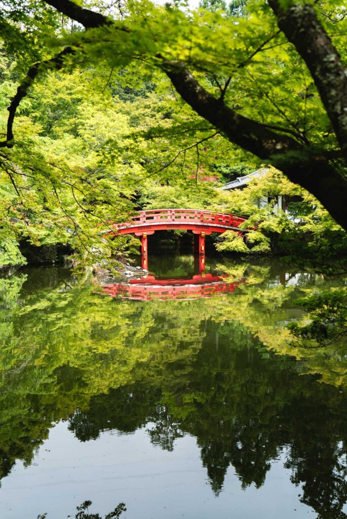 red bridge over body of water near treees