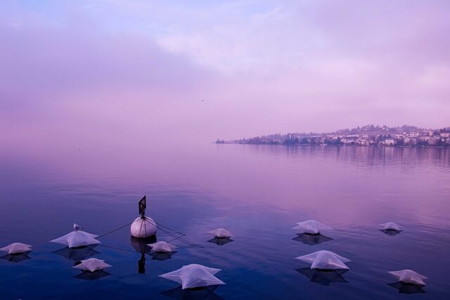 calm body of water