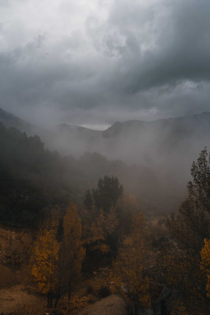 green trees on mountain under white clouds