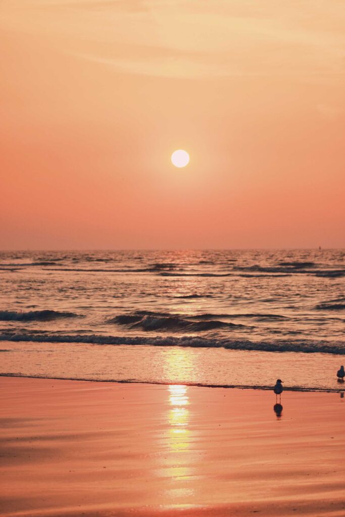 silhouette of man and woman walking on beach during sunset