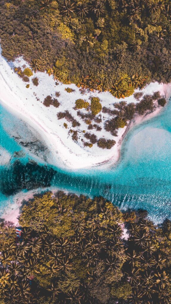 aerial view of green trees and blue sea during daytime