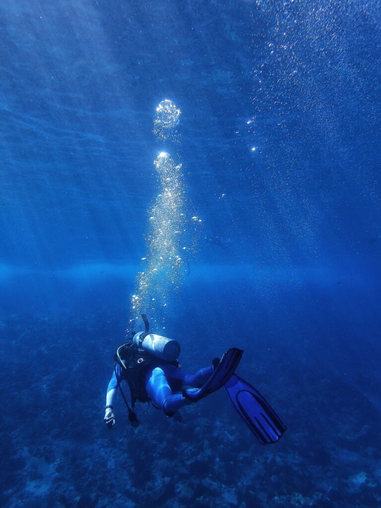 underwater photography of diver during daytime