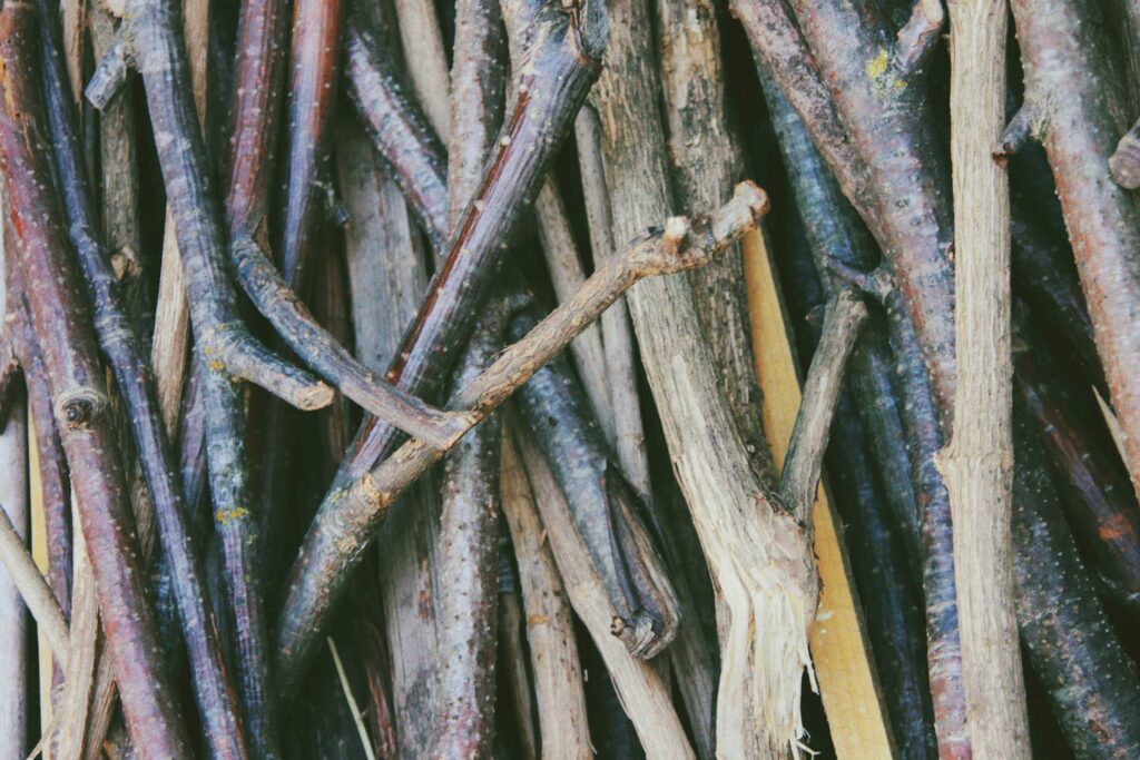 brown and gray tree branch