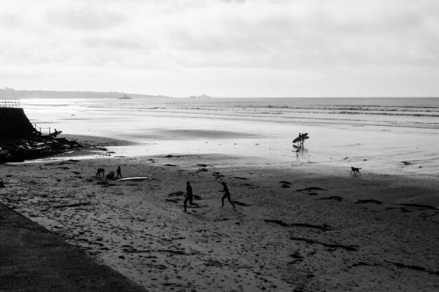 people walking on beach during daytime
