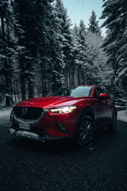 red vehicle near pine trees during daytime