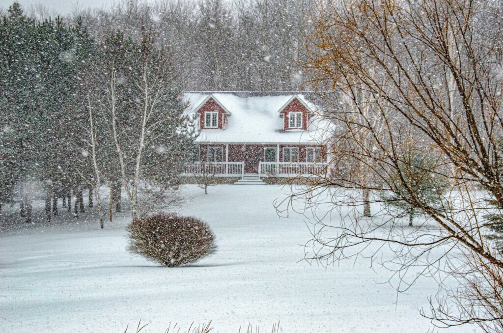 white and red house surrounded by bare trees during daytime