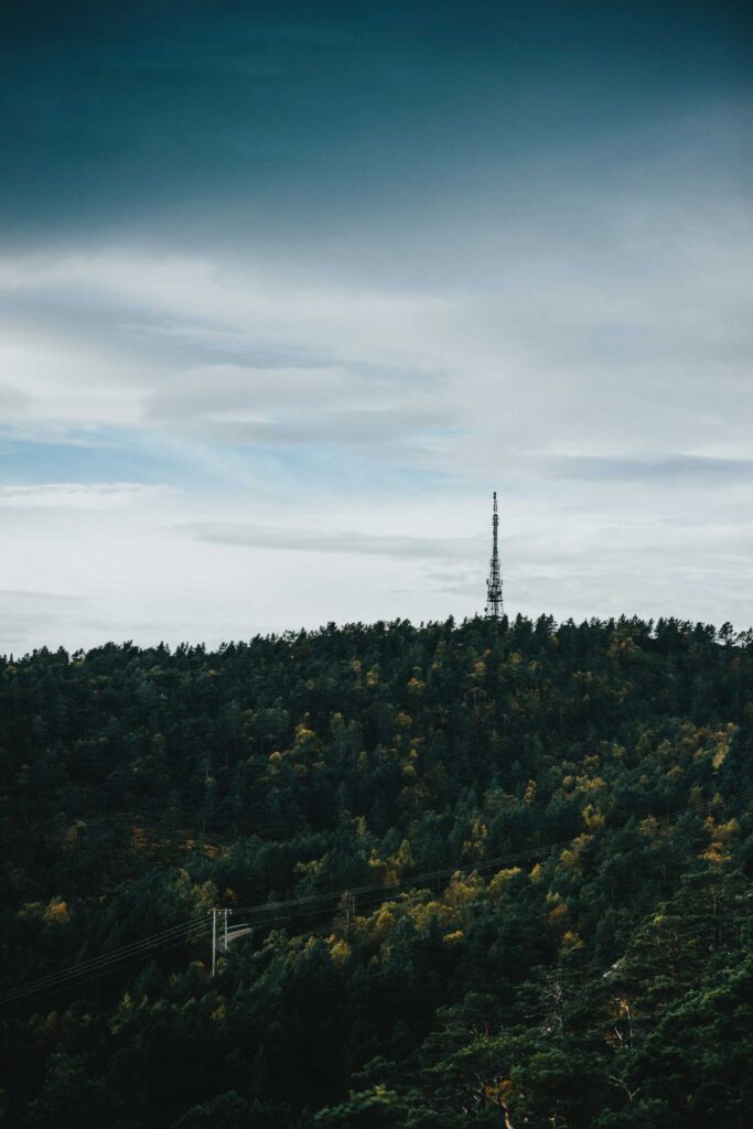 green trees under white clouds during daytime