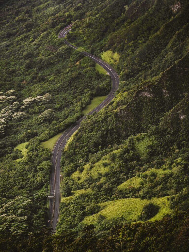 bird’s eye view photography of concrete road between tall trees