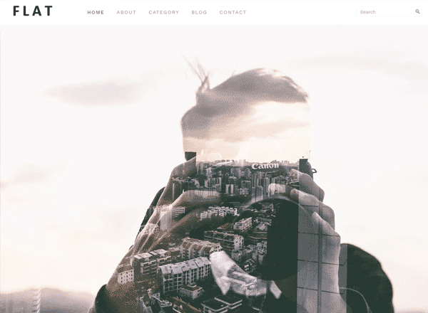 响应式 WordPress 付费主题-FLAT（适合做产品展示）