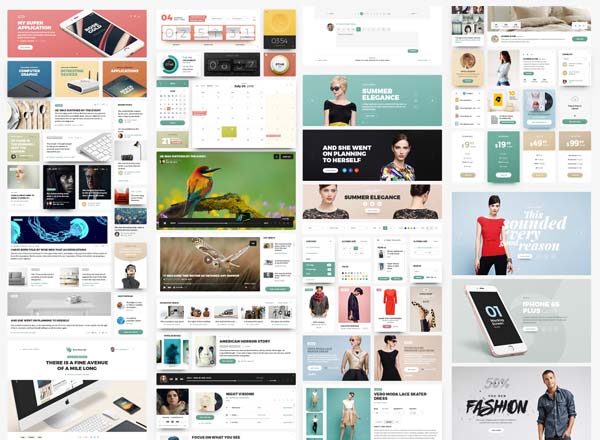服饰电商主题网站 UI 设计套件 Woleraune UI Kit