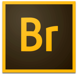 Adobe Bridge 2020 V10.0.3.138 WIN & V10.0.2 MAC – 最强电脑媒体资源管理器